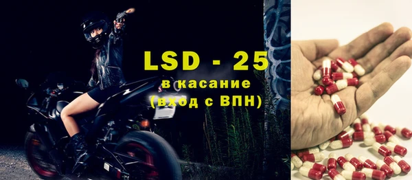 прущие грибы Алзамай