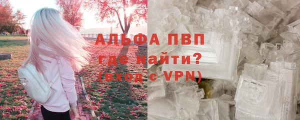 эйфоретик Арсеньев