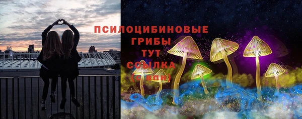 эйфоретик Арсеньев